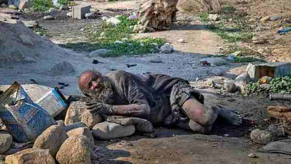 Haji laying his head on rocks while resting down on the ground.