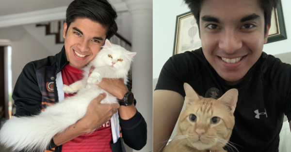 Syed Saddq's cats: Meow Meow (left) and Toby (right).