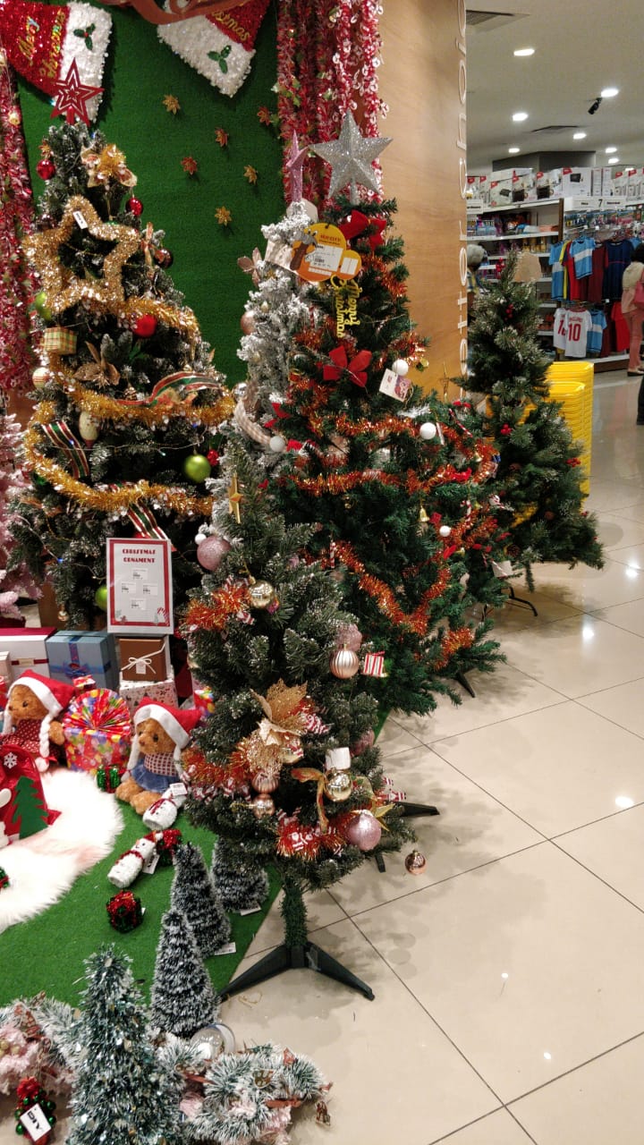 Where To Buy Christmas Trees In Malaysia