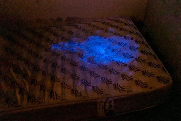 Traces of blood reacting to the luminol on Pinto's mattress.