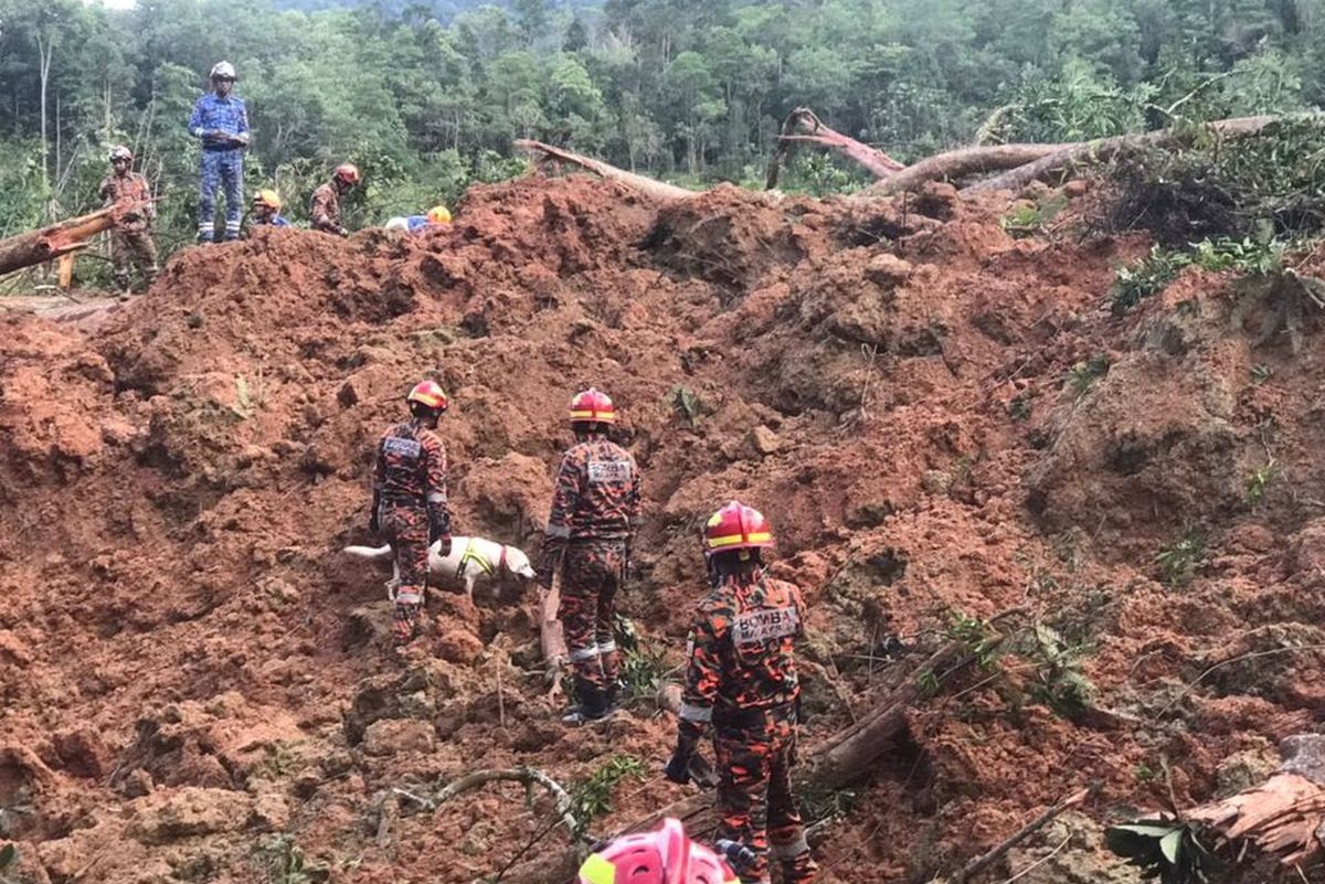 Les survivants du glissement de terrain de Batang Kali espèrent retrouver leurs chiens disparus