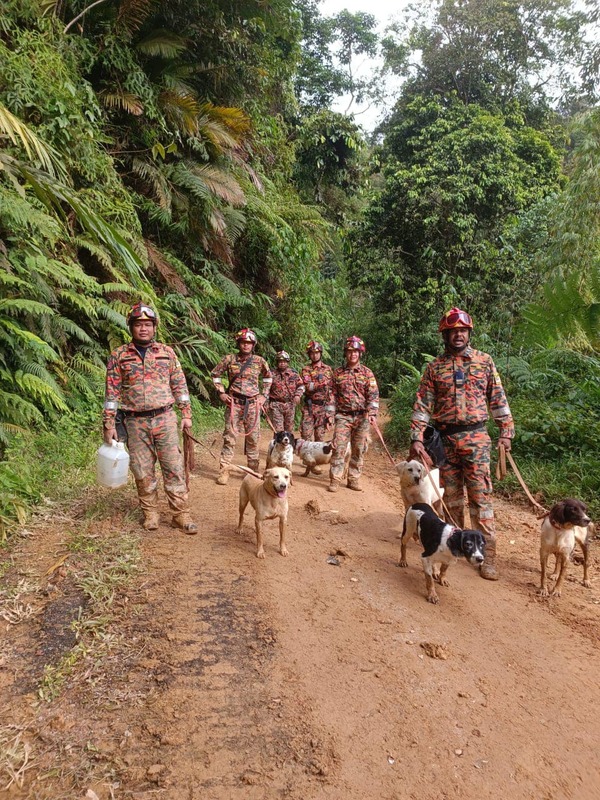 The K9 sniffer dogs alongside their handlers.