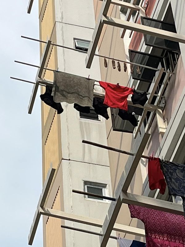 The pieces of pork belly hanging above neighbour's laundry.