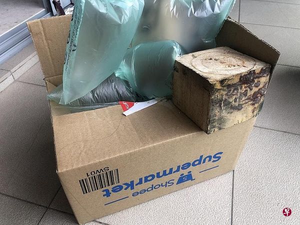 The package in question received by Yu, with the four air-inflated plastic bags and wooden cube.