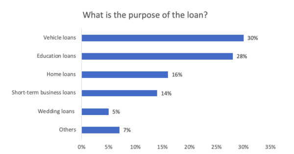 Findings for the purpose of loans taken.