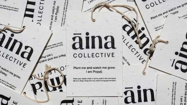 Plant seeds are embedded in their biodegradable eco-paper tags.