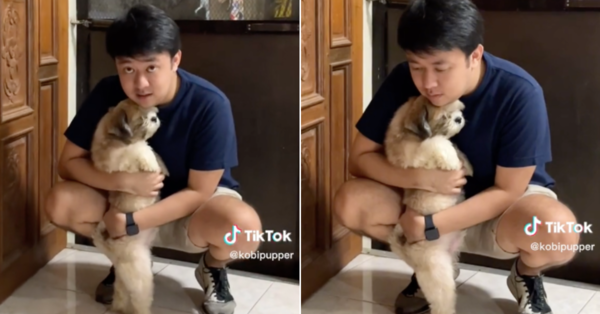 Screen grabs from the TikTok.