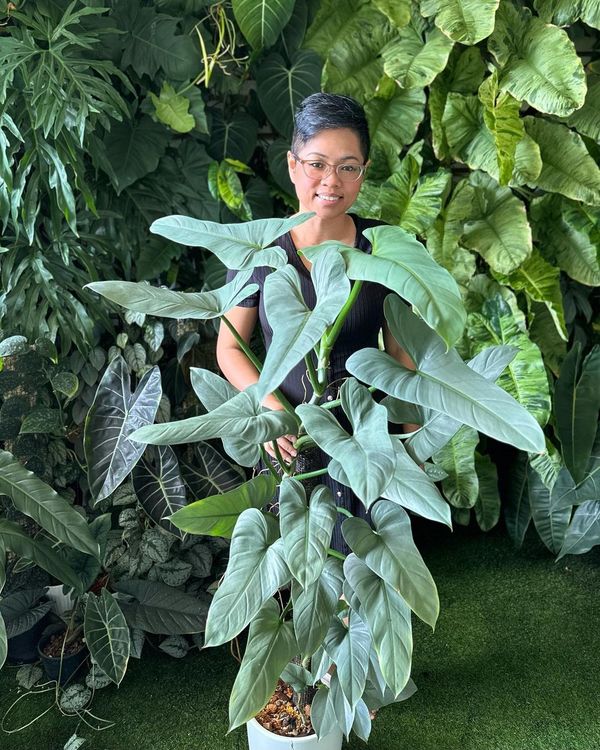 Jessy Christopher-Tham is a plant influencer.