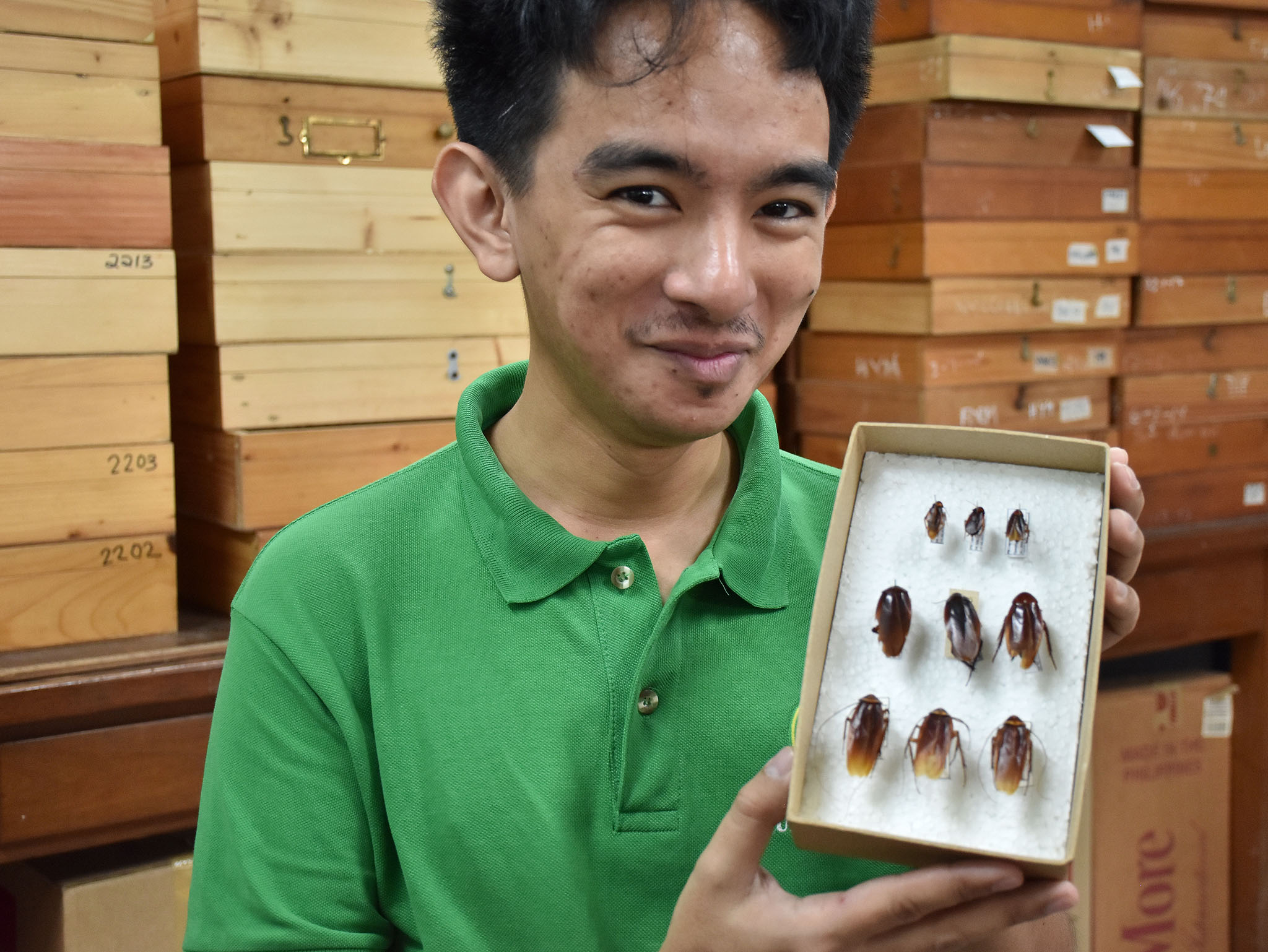 A cool little fact for my fellow Pokemon fans! Some entomologists out in  Singapore recently discovered a new species of cockroach and named it after  our very own Ultra beast, Pheromosa! Article