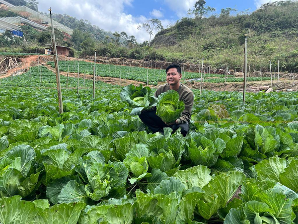 28-year-old farmer Chung Chia Khang makes RM400,000 a month growing vegetables at his farm located in Lojing Highlands, Kelantan.