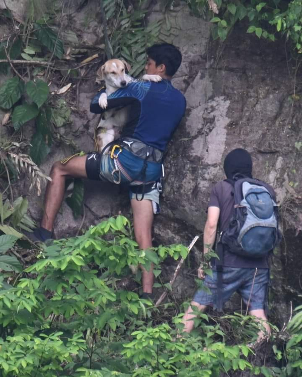 Poh (right) and De Silva retrieving the stranded dog from the cliff.