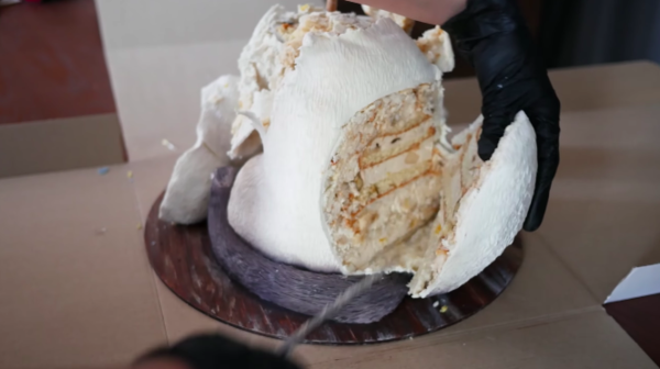 The inside of the cake itself.