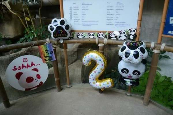 Some of the decorations used during Sheng Yi's birthday celebration.