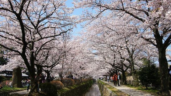 Known as The Philosopher's Path, this street in Kyoto, Japan, placed 10th on the list.