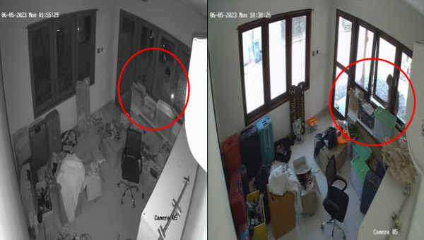 CCTV screengrab, showing the man taking the kitten through the office window.