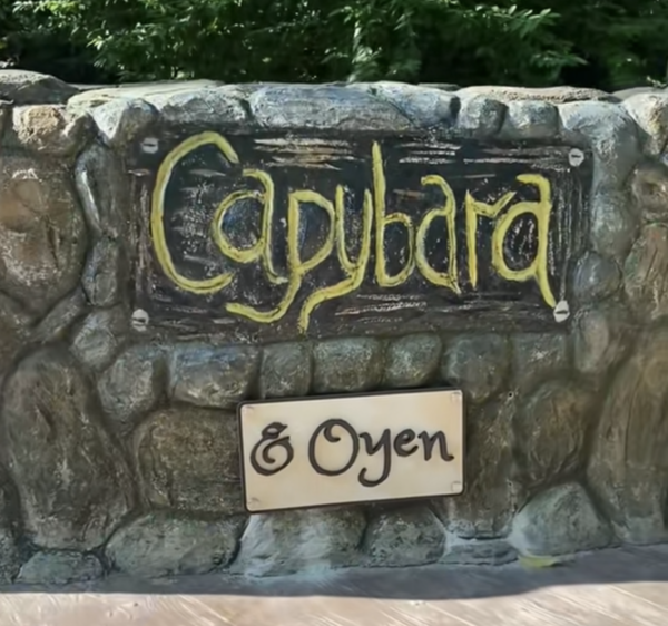 The "& Oyen" signage at the capybara enclosure in Zoo Negara.