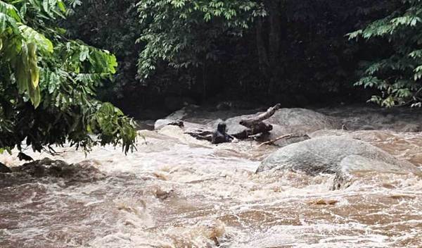 Gambar sekadar hiasan.