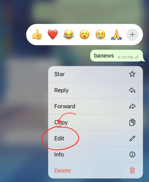 Editing WhatsApp messages on iOS
