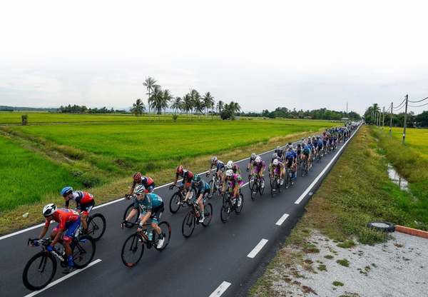 Cyclists passing through the paddy fields in Pendang during Stage 7 of the 25th edition of Le Tour de Langkawi 2020, covering a distance of 130.4km from Bagan to Alor Setar.