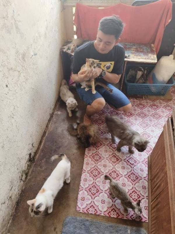 The man with a few of the cats he currently cares for.