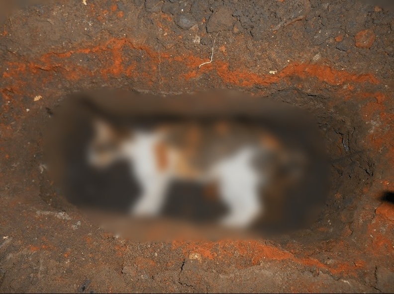 Gambar sekadar hiasan.