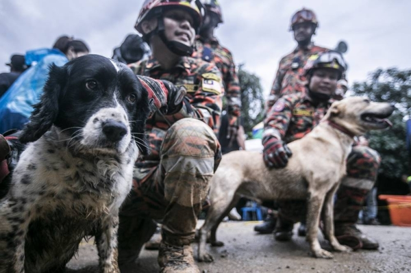 Blake (left) with his colleagues during the search and rescue mission after the Batang Kali landslide tragedy.