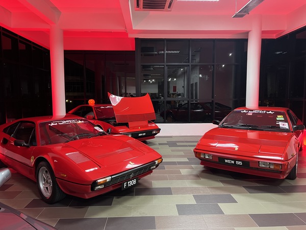 Some of the evergreen vintage Ferraris that are part of the collecfion.