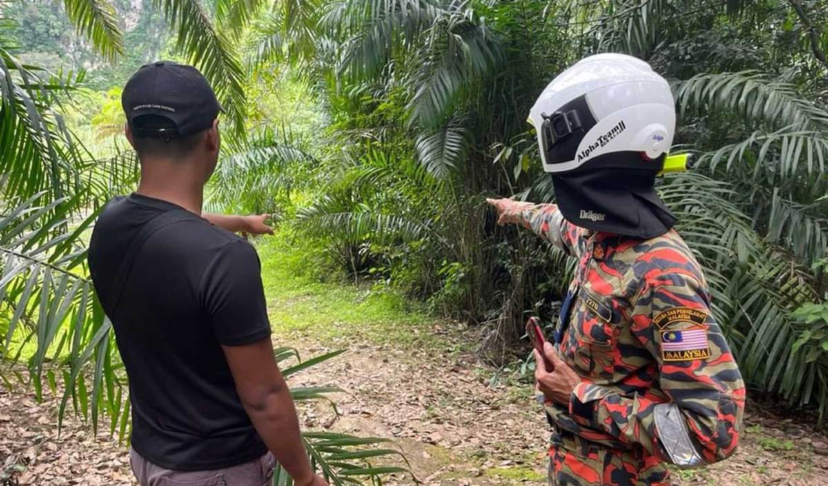 Luqman Haqim (kiri) menujukkan lokasi dia terserempak dengan harimau belang.