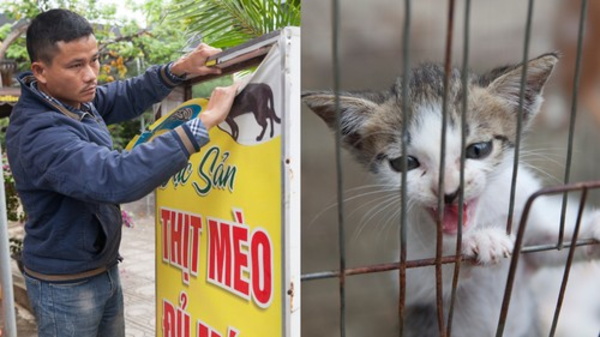 Pham can be seen removing the "cat meat" signage from his restaurant.