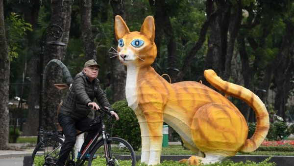 A man rides a bicycle past a cat statue at Thong Nhat Park in Hanoi, ahead of the Lunar New Year 2023.