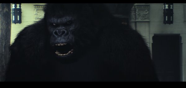 Digital footage of a gorilla.