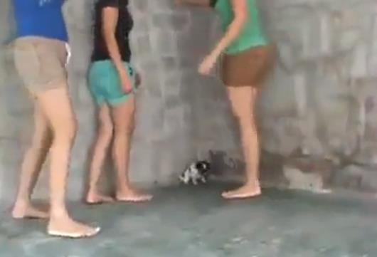 VIRAL] 3 Girls Crush Puppy To Death With Their Bare Feet