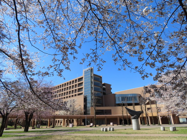 Tokyo University of Foreign Studies. Image for illustration purposes only.