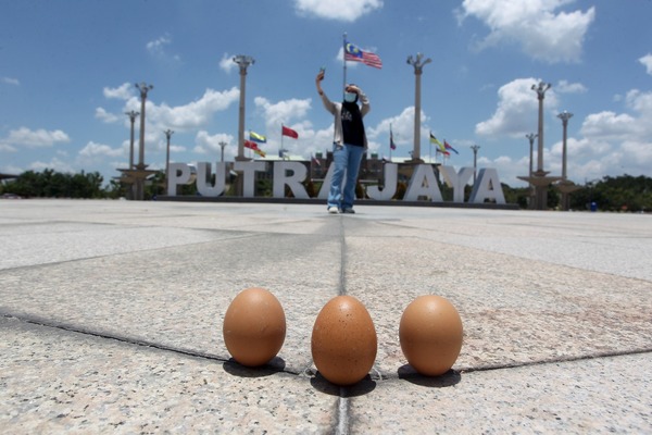 The eggs on the ground produce shadows, but the woman in the background doesn't cast any shadow.