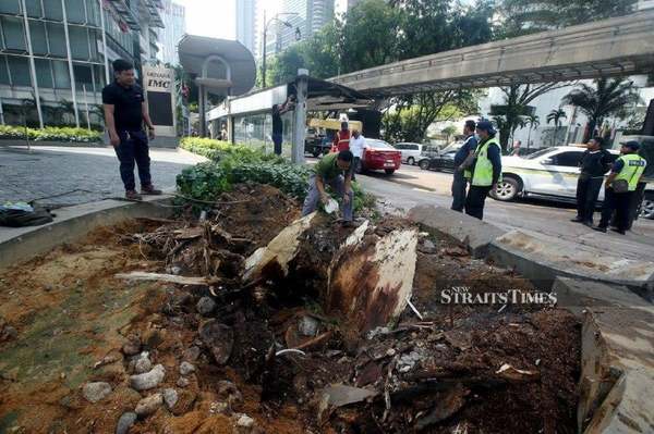 DBKL officers conducting an inspection at the site of the fallen tree.