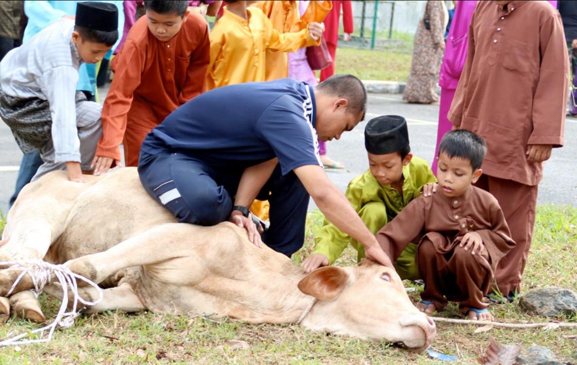 Gambar sekadar hiasan.