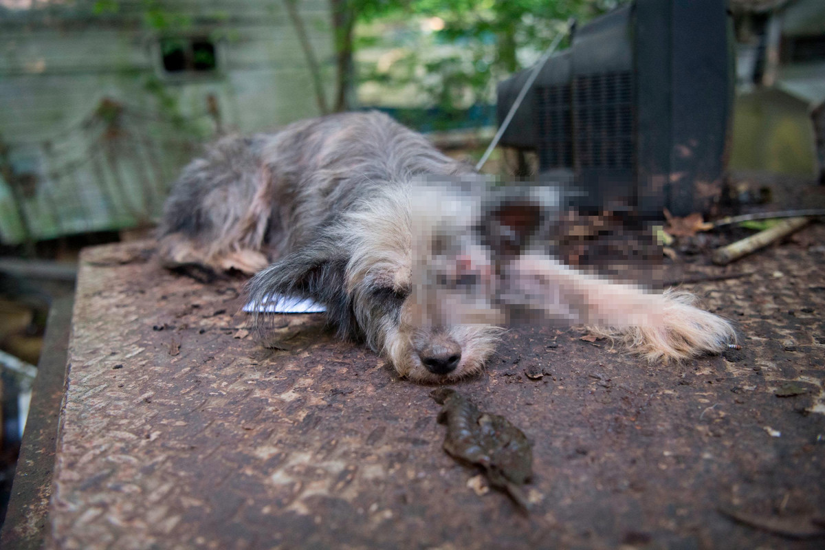 Gambar sekadar hiasan.