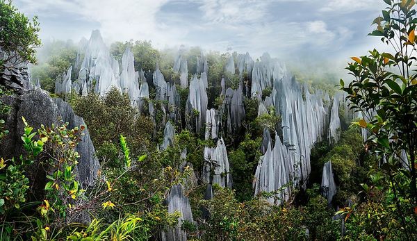 Mulu National Park in Sarawak.