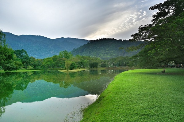 A user-submitted photo from last year shows the lake at Taiping Lake Gardens in lush green, in stark contrast to the dried-up and brown lake this year.