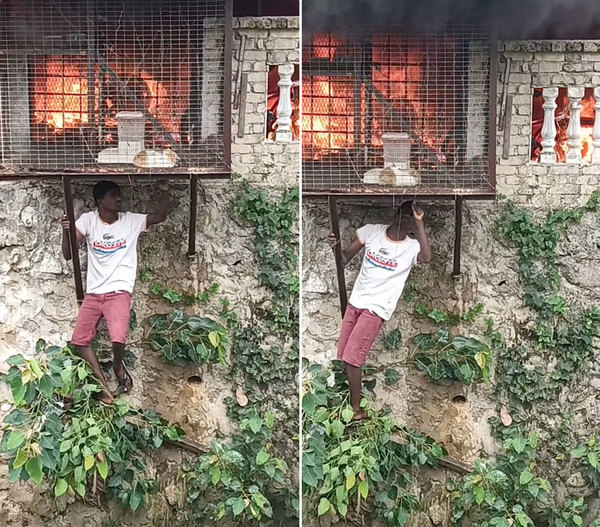 Screenshots of the video showing the boy saving the second rabbit.