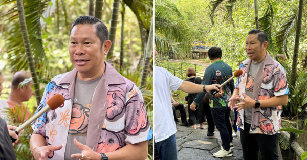 Narongwit Chodchoi, director of Khao Kheow Open Zoo, was seen donning Moo Deng merch during his interview with a Japanese broadcast station today, 12 September.