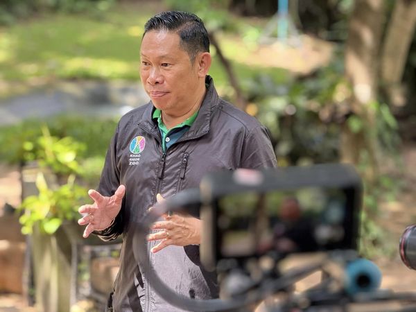 Director of Khao Kheow Open Zoo, Narungwit Chodchoy.