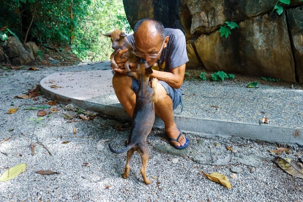 Jeffrey Tan is an experienced and qualified animal behaviourist who recognises the urgent needs of stray dogs and cats in Langkawi.