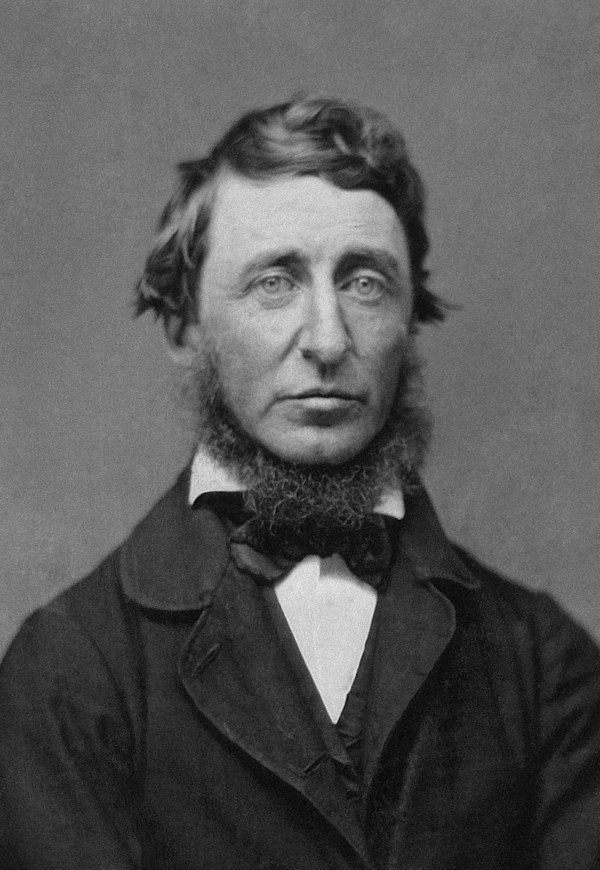 Henry David Thoreau is attributed as the first person to write down the word 'brain rot' in 1854.