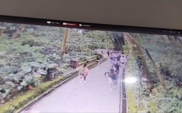 CCTV footage captured visitors running away just before the branch fell.