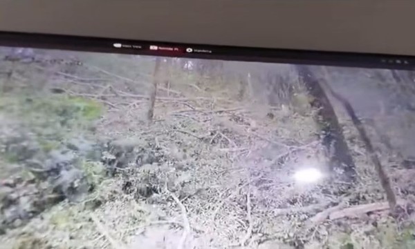 CCTV footage shows the fallen branches.