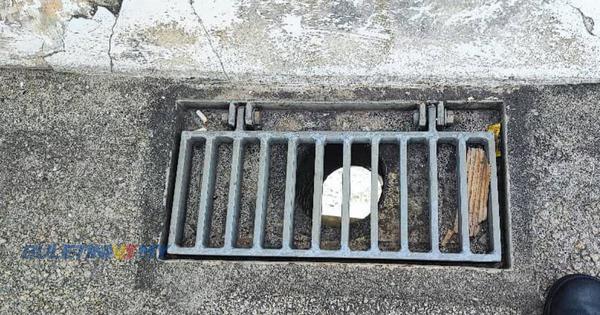 The kitten was stuck in the pipe after falling through this drain hole.