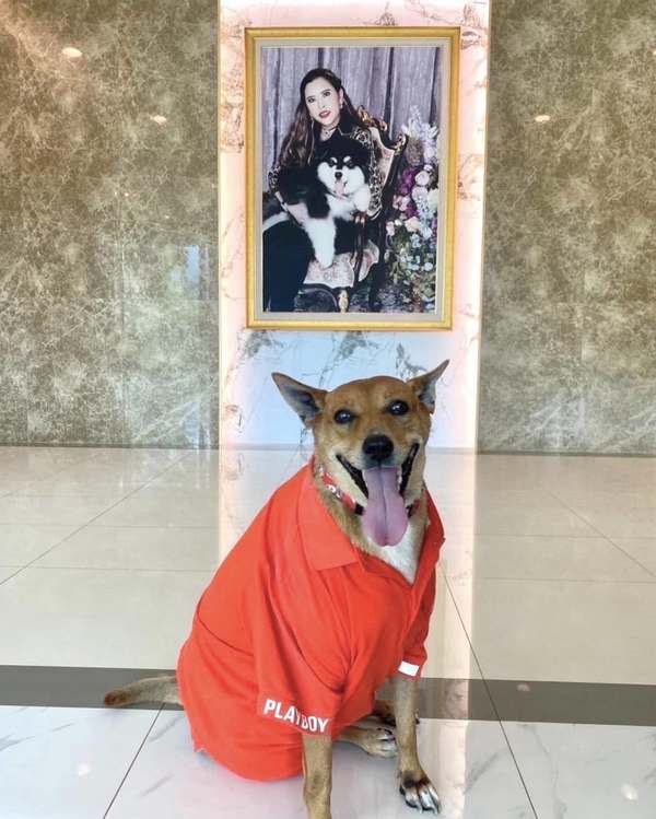 Moo Daeng in front of a portrait of Princess Siribha Chudabhorn.