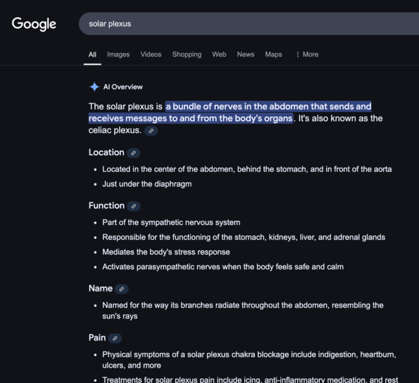 Here is an example of the AI Overview in action.