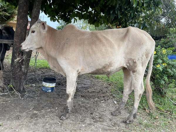 Gambar sekadar hiasan.